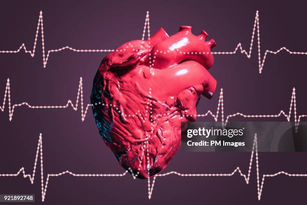 human heart and pulse traces - listening to heartbeat foto e immagini stock