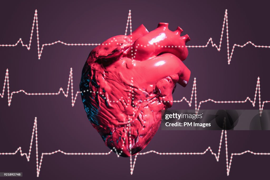 Human heart and pulse traces