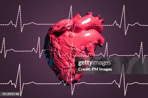 Human heart and pulse traces Human heart and pulse traces