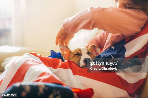 best friends get the best cuddles - american flag small stock pictures, royalty-free photos & images