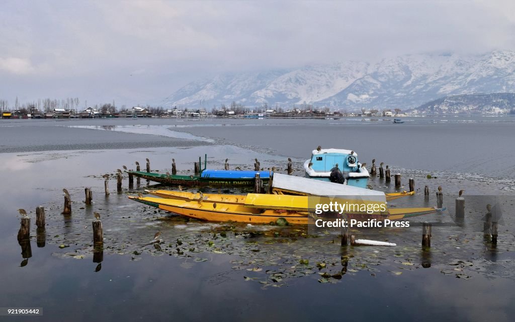 Empty Shikaras on the waters of world famous Dal Lake in...