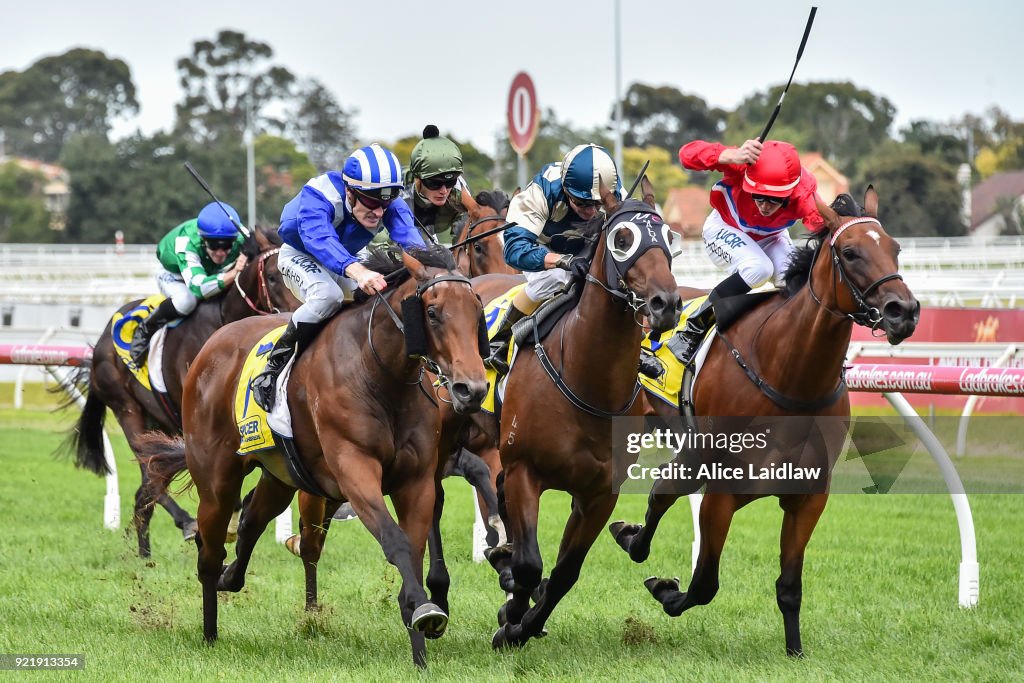 Spicer Thoroughbreds Handicap