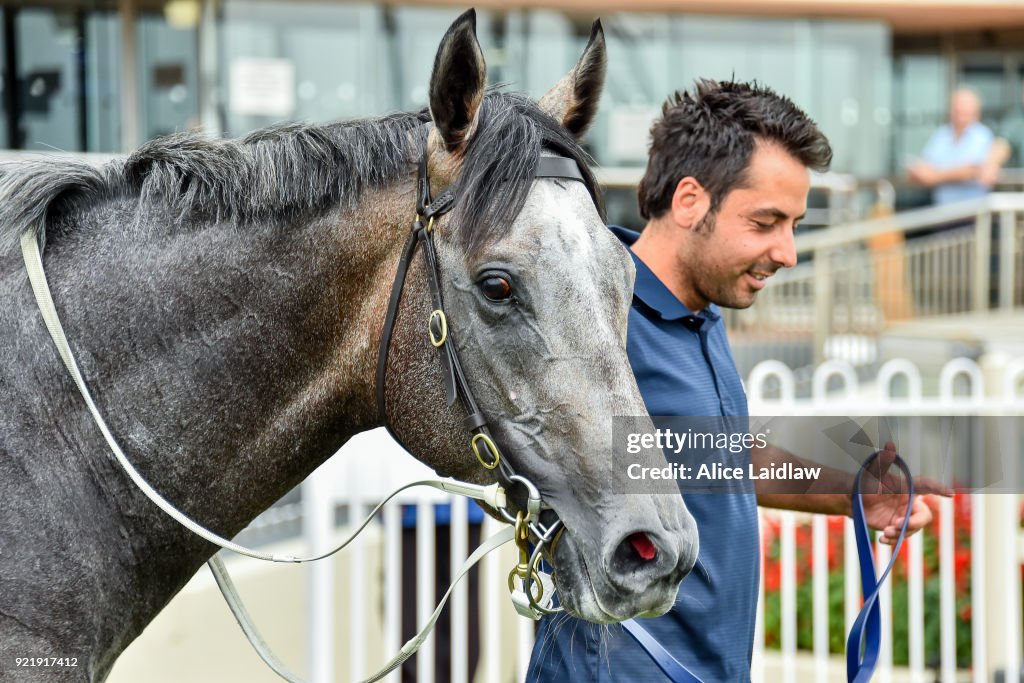 Dream Thoroughbreds Plate