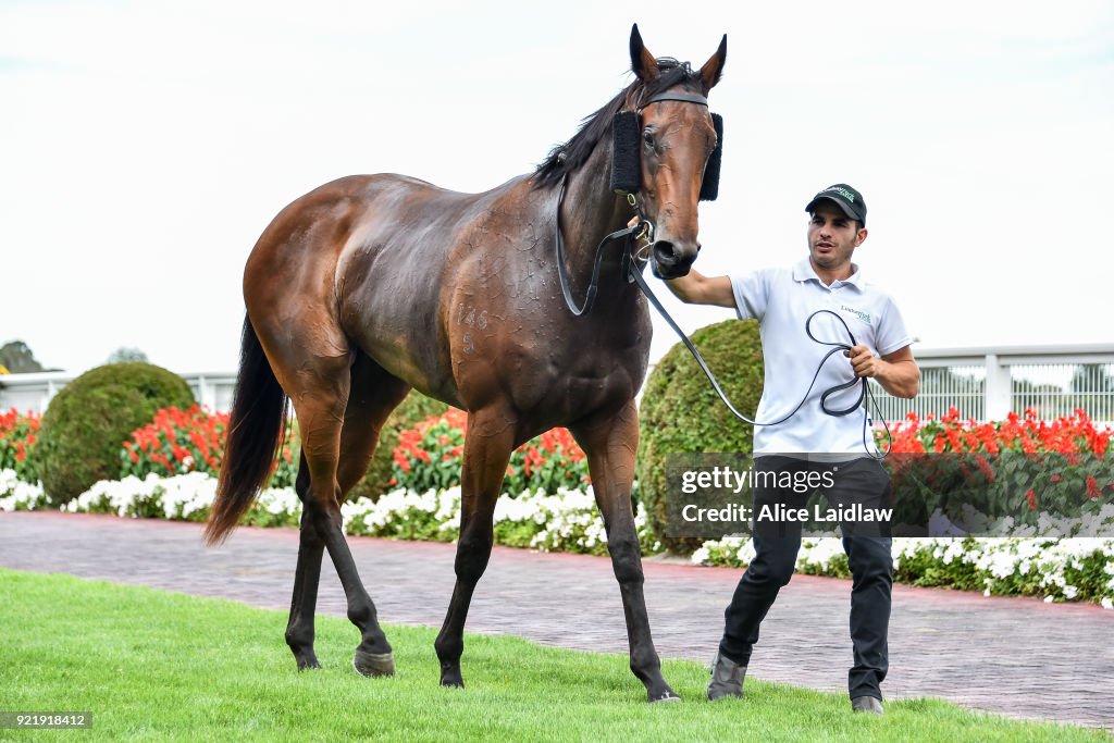 Spicer Thoroughbreds Handicap