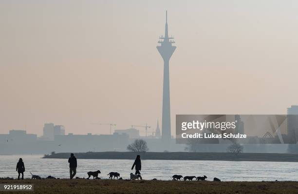 People walk dogs along the Rhine River as the Rheinturm telecommunications towers stands behind on February 20, 2018 in Dusseldorf, Germany. The...