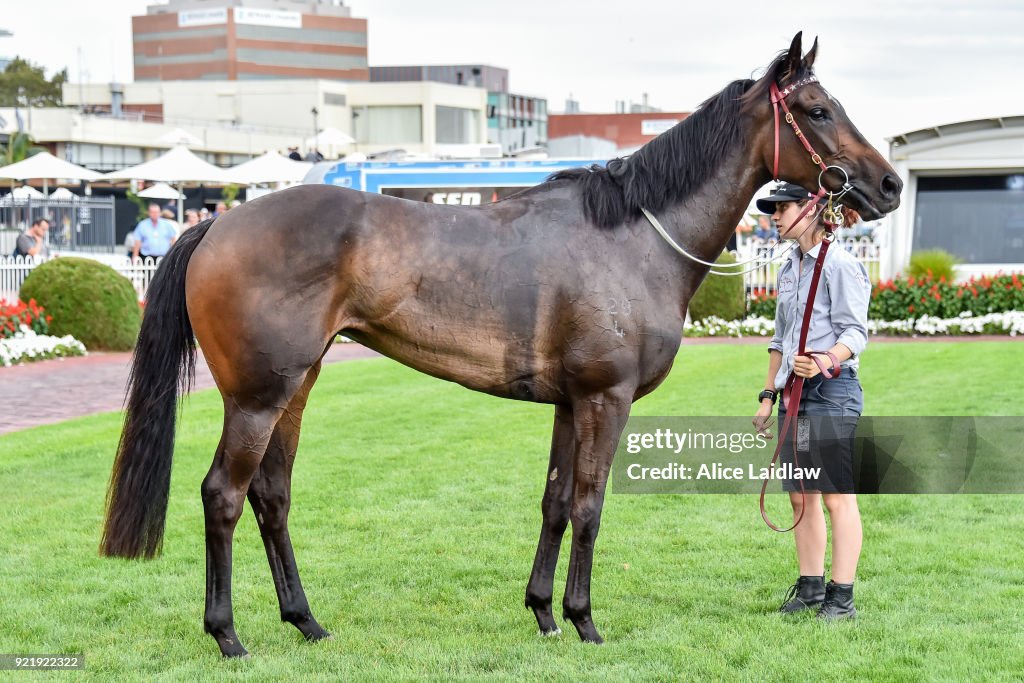 Clanbrooke Racing Handicap