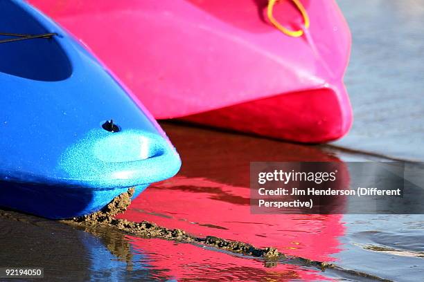 two kayak with reflection at lyall bay - jim henderson stock pictures, royalty-free photos & images