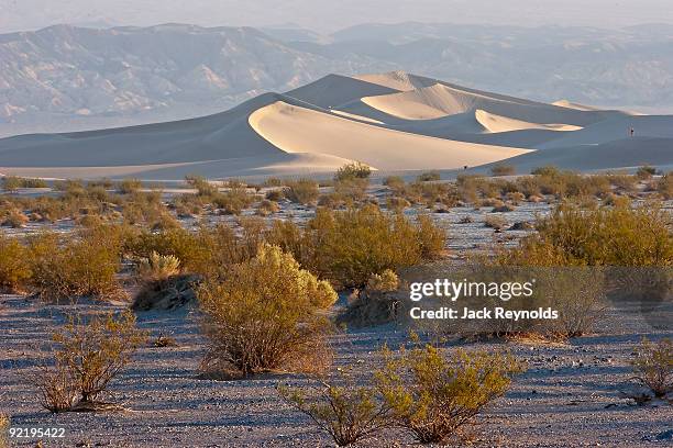 mesquite flat sand dunes - mesquite flat dunes stock pictures, royalty-free photos & images