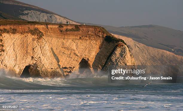 radio controlled gull over freshwater bay - s0ulsurfing stock pictures, royalty-free photos & images