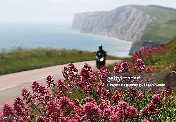 leaving freshwater bay via the military road - s0ulsurfing stockfoto's en -beelden