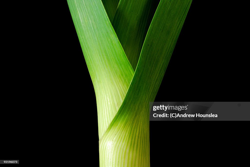 Leek on black