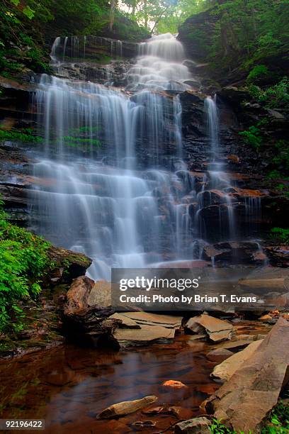 ganoga falls - ricketts glen state park stock pictures, royalty-free photos & images