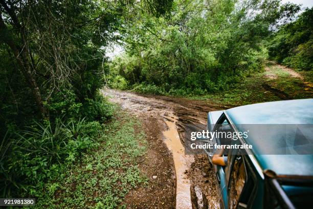 road trip through mexico - mud truck stock pictures, royalty-free photos & images