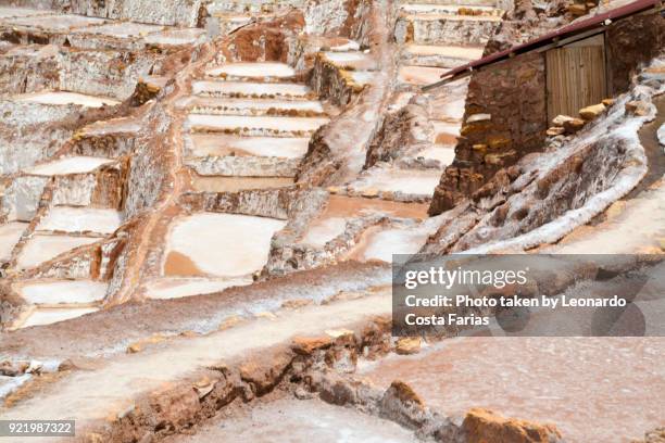 peruvian saline - leonardo costa farias bildbanksfoton och bilder