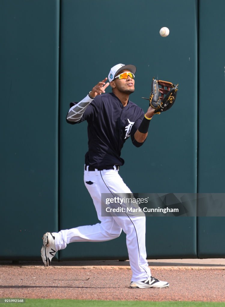 Detroit Tigers Workouts