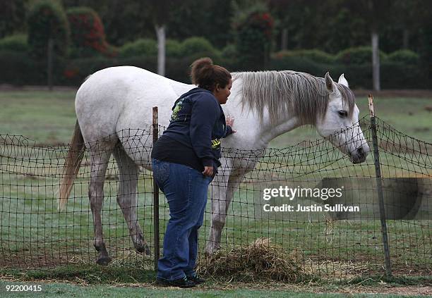 Seventeen year-old Marissa Hamilton pets a horse at Wellspring Academy October 20, 2009 in Reedley, California. Struggling with her weight, Hamilton...