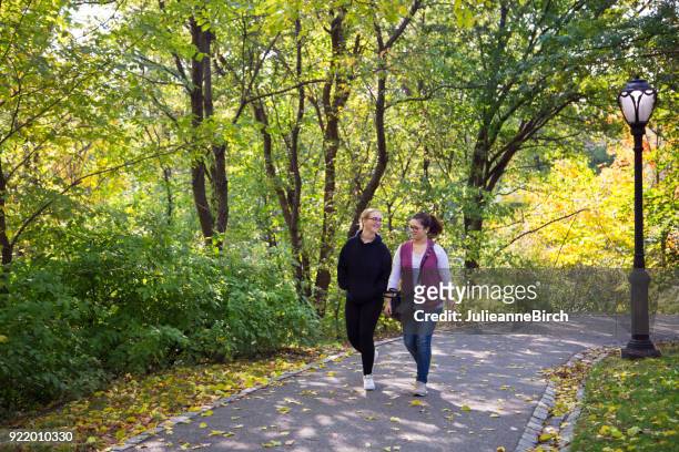 tieners wandelen in central park, nyc - beschermd natuurgebied stockfoto's en -beelden