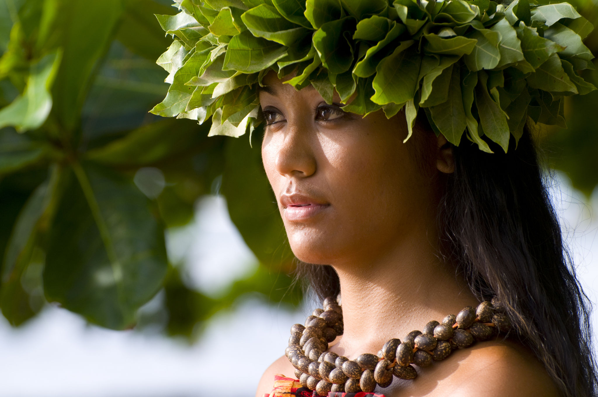 hawaiian nature