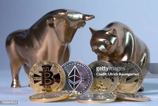 Symbolic photo on the subject of cryptocurrencies, stock exchange, stock market, trading, bull and bear market, exchange loss, exchange gain, bull...