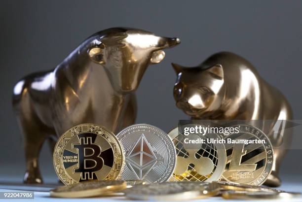 Symbolic photo on the subject of cryptocurrencies, stock exchange, stock market, trading, bull and bear market, exchange loss, exchange gain, bull...