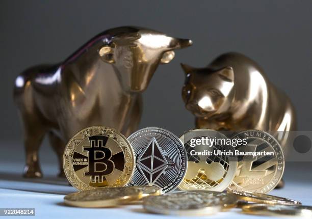 Symbolic photo on the subject of cryptocurrencies, stock exchange, stock market, trading, bull and bear market, exchange loss, exchange gain, bull...