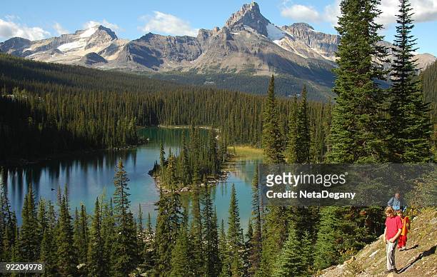 yoho national park - jasper mineral stock pictures, royalty-free photos & images