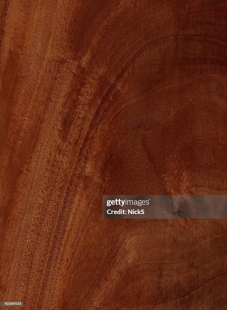 Figured Mahogany - Wood Texture Series