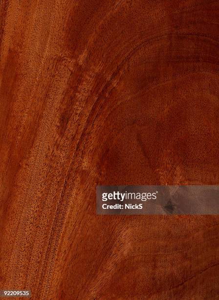 figured mahogany - wood texture series - mahogny bildbanksfoton och bilder