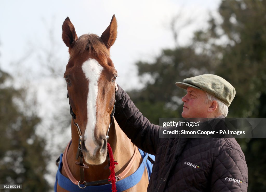 Colin Tizzard Stable Visit - Milborne Port