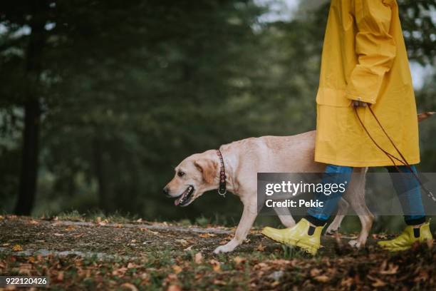 it's always the right time for a walk - female rain coat stock pictures, royalty-free photos & images