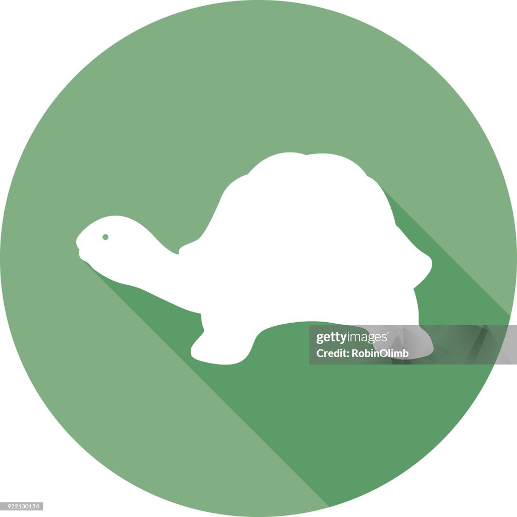 Icône de Vert Tortue
