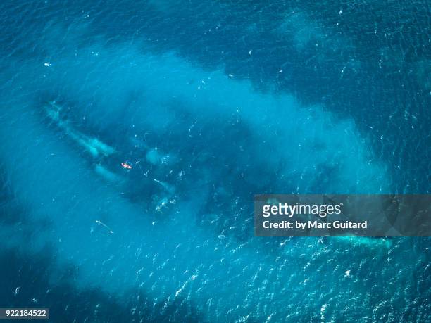 wreck of the ss antilla off the coast of aruba - noord amerika stock-fotos und bilder