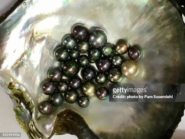 close-up of black cultured pearls in an oyster shell - cultured stock pictures, royalty-free photos & images