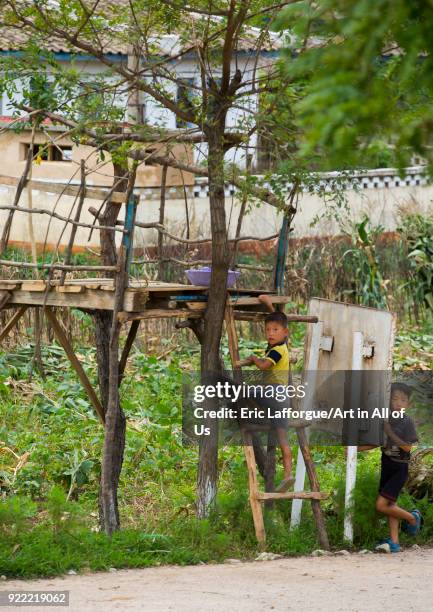 North Korean children in a little shelter to monitor the fields in the countryside, North Hwanghae Province, Kaesong, North Korea on September 7,...