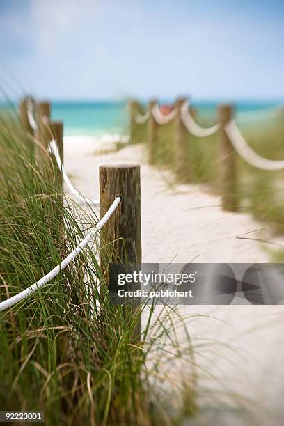 pathway to the beach - marram grass stock pictures, royalty-free photos & images