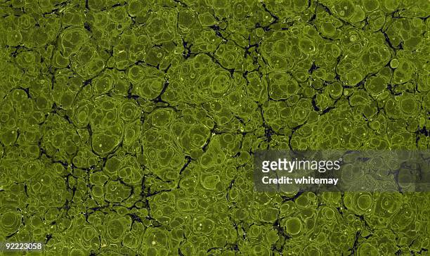 green marbled background - book binding stock pictures, royalty-free photos & images
