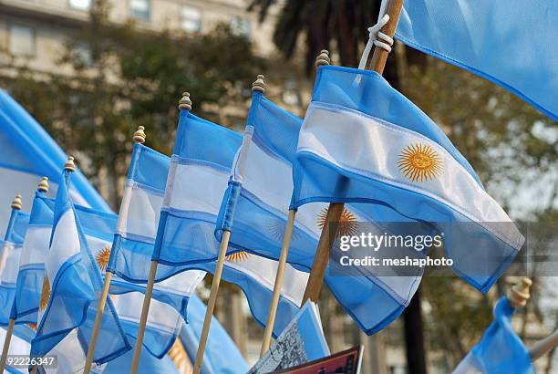 bandeira argentina - cultura argentina imagens e fotografias de stock