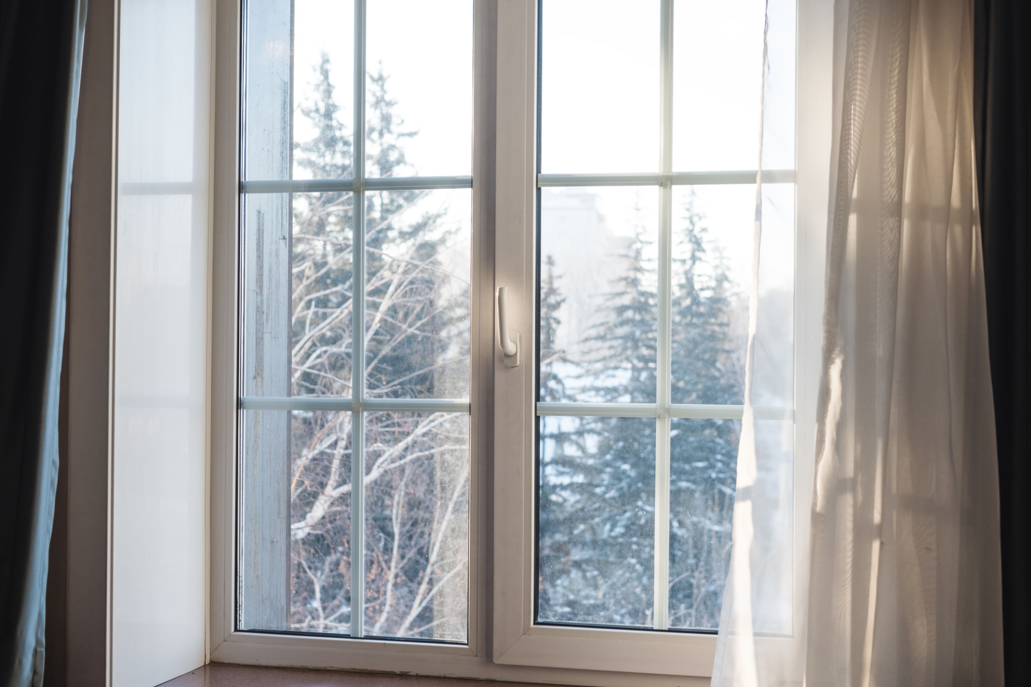 winter window protection