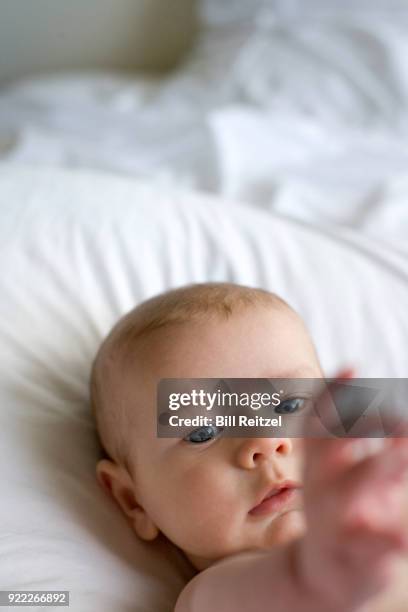 1 boy lying on bed reaching arm out - corte madera stock pictures, royalty-free photos & images