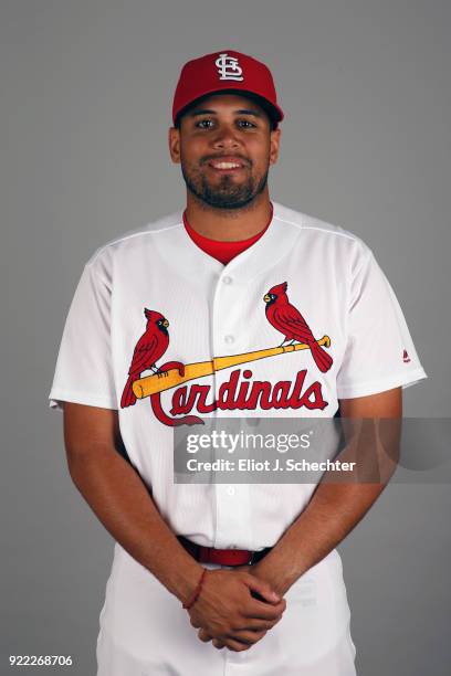 Francisco Peña of the St. Louis Cardinals poses during Photo Day on Tuesday, February 20, 2018 at Roger Dean Stadium in Jupiter, Florida.