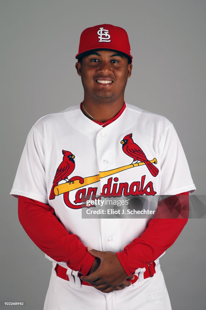 2018 St. Louis Cardinals Photo Day