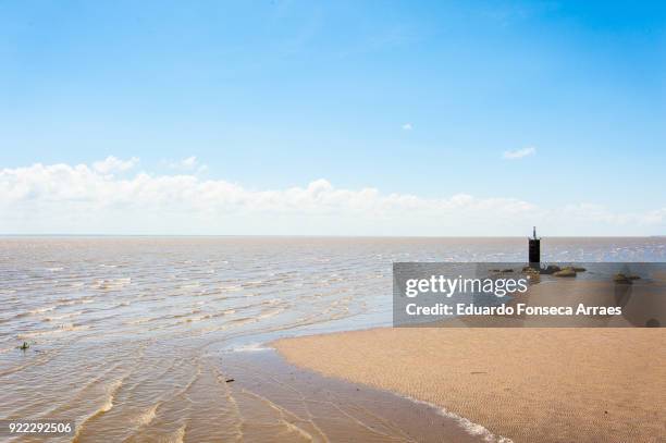 beach on the amazon river - equator line stock pictures, royalty-free photos & images