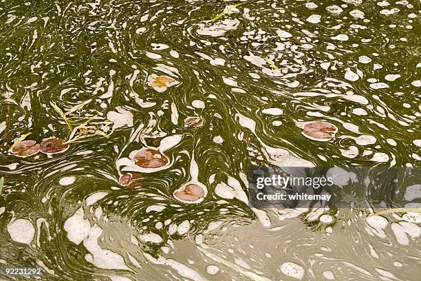 swirling water and scum - slime stockfoto's en -beelden