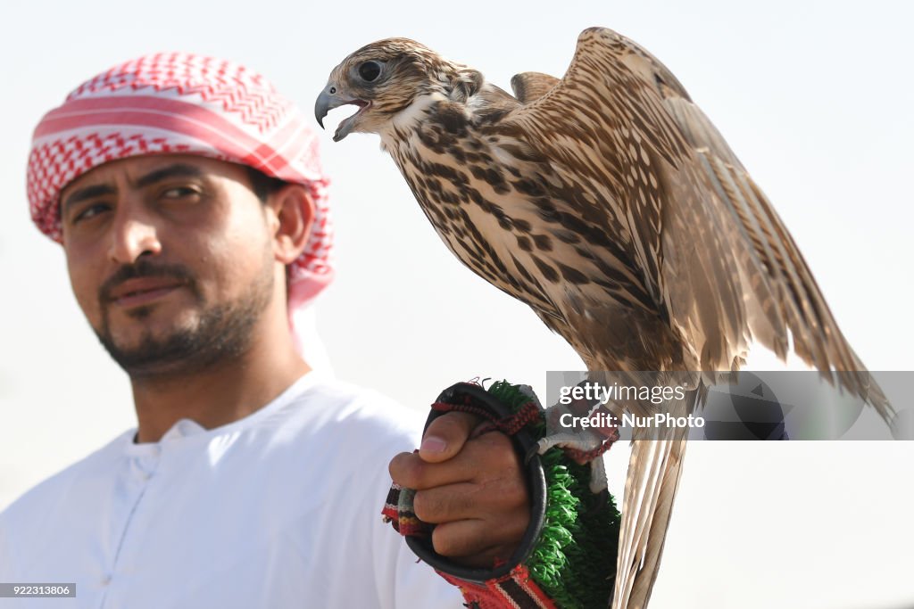 Falconry - UAE's oldest tradition and sport