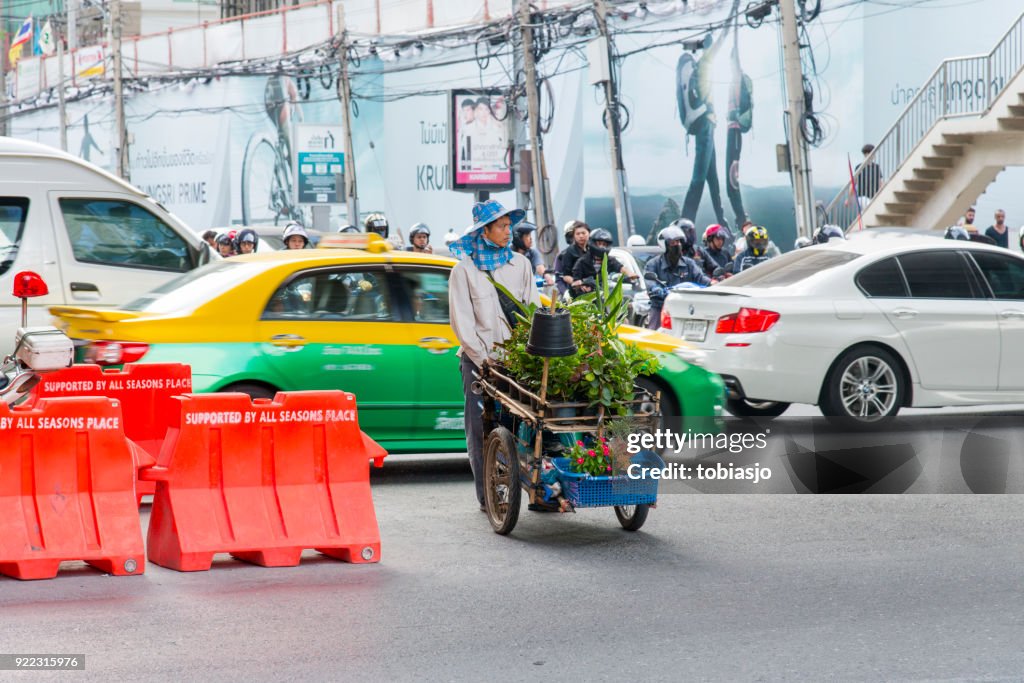 Bangkok man selling plants