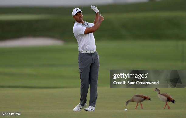 Tiger Woods looks over a shot during the pro-am round prior to the Honda Classic at PGA National Resort and Spa on February 21, 2018 in Palm Beach...