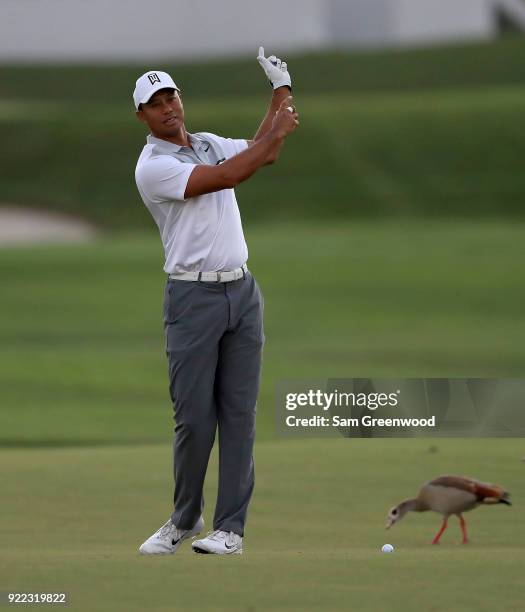 Tiger Woods looks over a shot during the pro-am round prior to the Honda Classic at PGA National Resort and Spa on February 21, 2018 in Palm Beach...