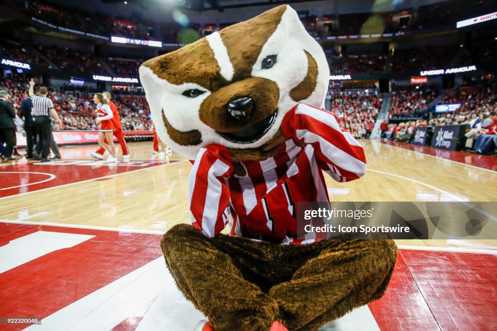 COLLEGE BASKETBALL: FEB 19 Minnesota at Wisconsin