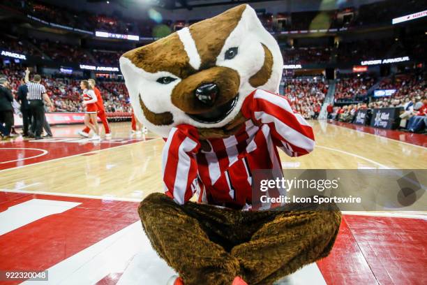 Wisconsin mascot Bucky Badger during a college basketball game between the University of Wisconsin Badgers and the University of Minnesota Golden...