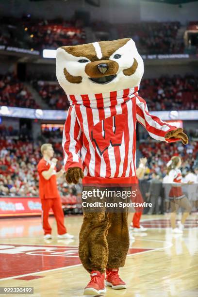 Wisconsin mascot Bucky Badger during a college basketball game between the University of Wisconsin Badgers and the University of Minnesota Golden...